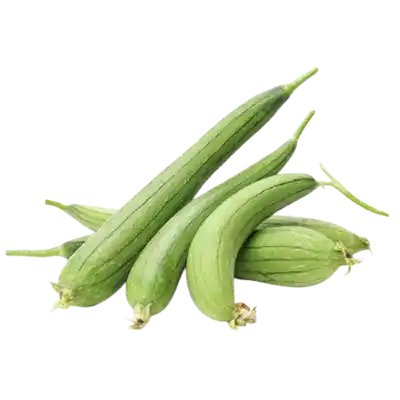 ধুন্দল