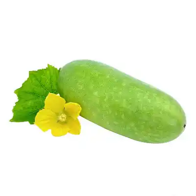 কচি জালি কুমড়ো